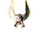 [Flying Pig]